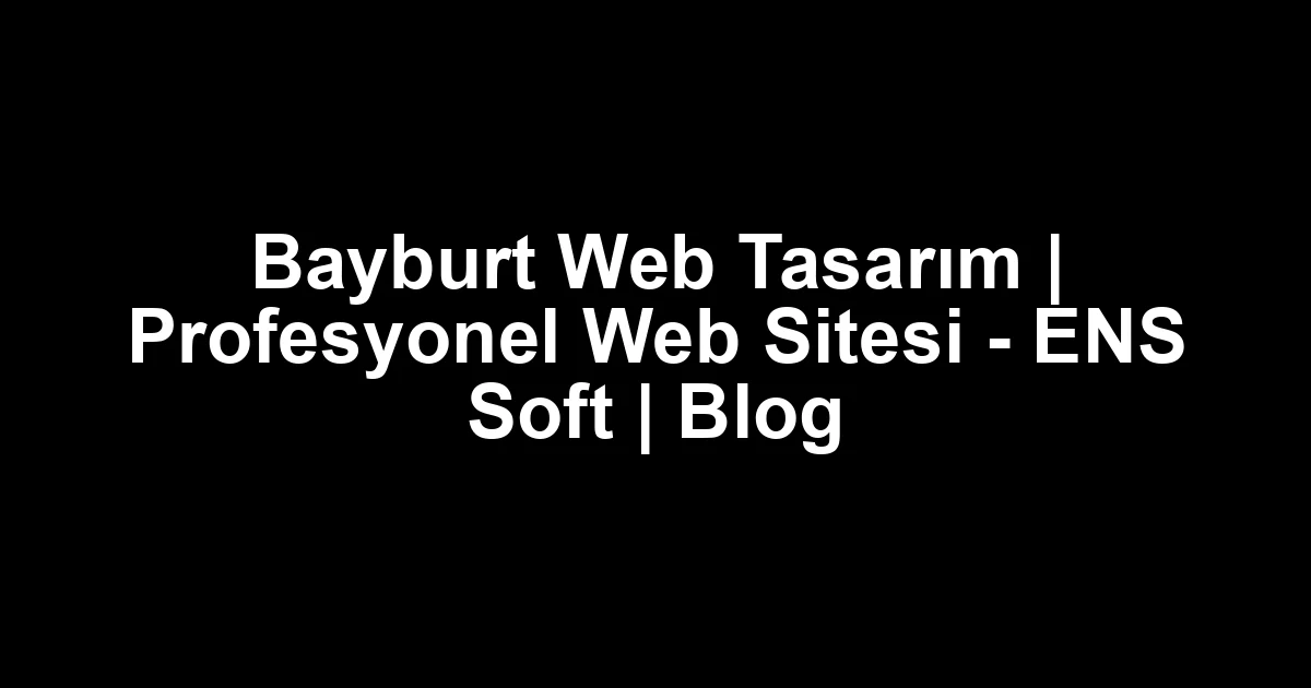 Bayburt web tasarım