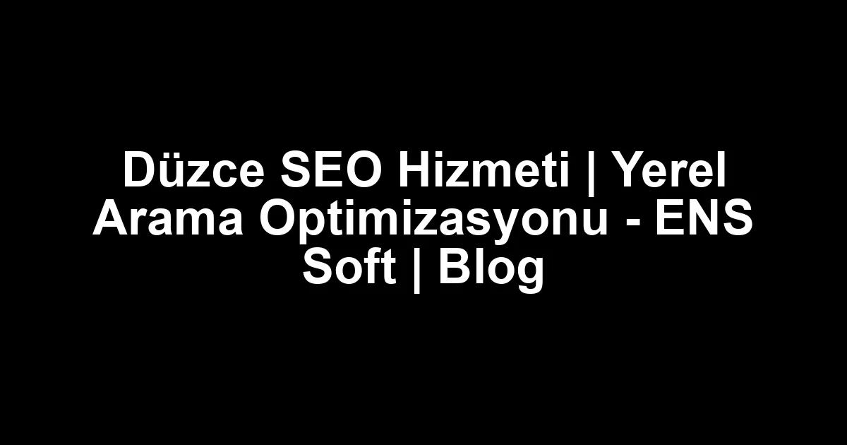 Düzce seo