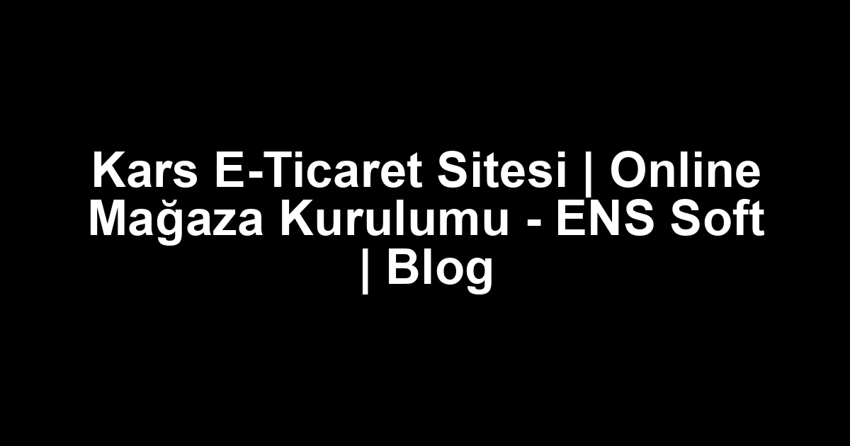 Kars E-Ticaret Sitesi | Online Mağaza Kurulumu – ENS Soft | Blog